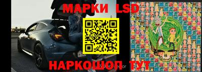 крисы Новокубанск