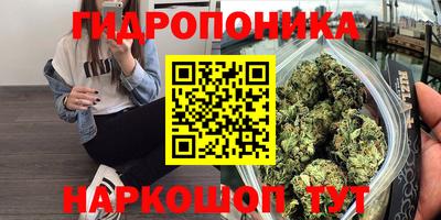 стафф Нальчик