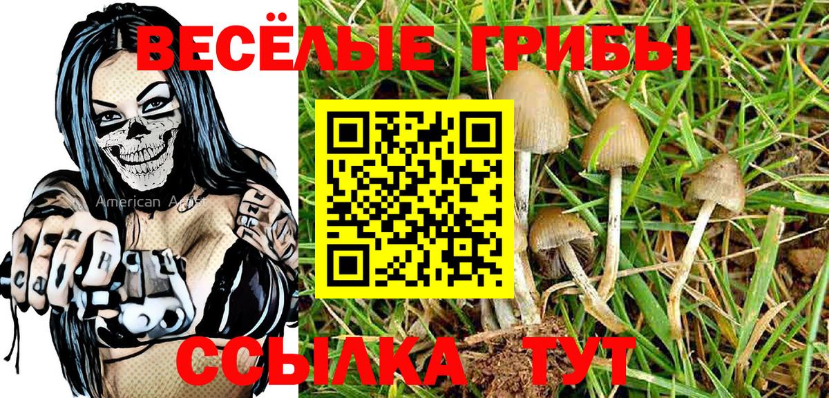 Псилоцибиновые грибы Psilocybe Туймазы