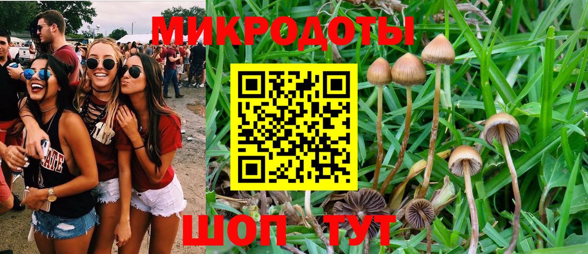Псилоцибиновые грибы Magic Shrooms  где продают наркотики  Туймазы  Вход с VPN  Галлюциногенные грибы мухоморы 