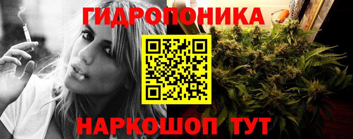 Шишки марихуана план  Бошки марихуана планчик  Туймазы  Вход с VPN  Бошки Шишки White Widow 